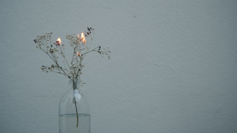 Eine-Weiße-Trockenblume-Brennt-In-Einer-Flasche
